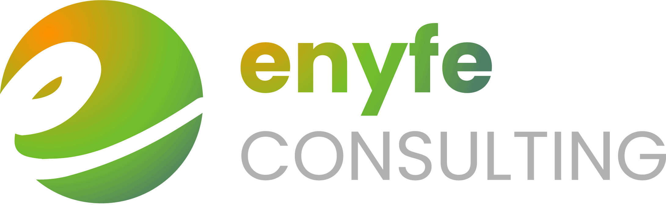 enyfe consulting